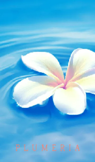 [LINE着せ替え] PLUMERIA-HAWAIIAN SEA-11の画像1