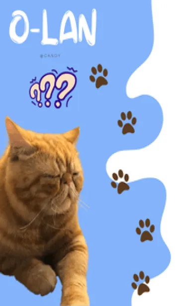 [LINE着せ替え] NOT ODEN is  O-LANの画像1