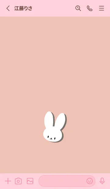 [LINE着せ替え] ホワイト ラビット 191の画像2