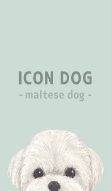 [LINE着せ替え] ICON DOG - マルチーズ - PASTEL GR/03の画像1