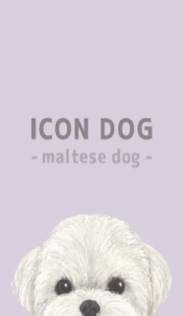 [LINE着せ替え] ICON DOG - マルチーズ - PASTEL PL/03の画像1