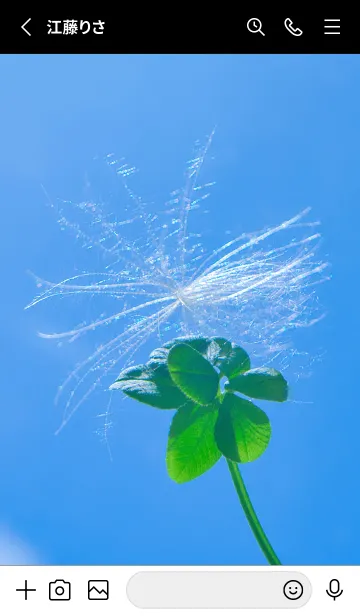 [LINE着せ替え] ケサランパサラン&七つ葉クローバー #5-4の画像2