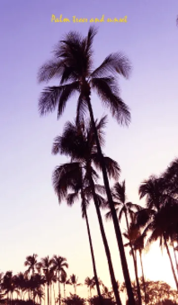 [LINE着せ替え] Palm trees and sunset 79の画像1