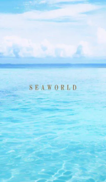 [LINE着せ替え] SEA WORLD-Hawaii 18の画像1