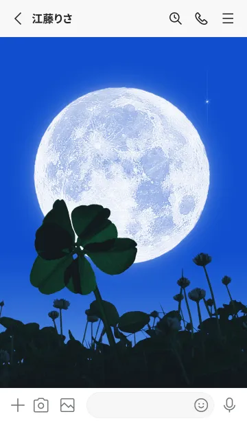 [LINE着せ替え] 七つ葉のクローバー & Full Moon #1-21の画像2