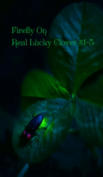 [LINE着せ替え] 蛍と四つ葉のクローバー #1-5の画像1