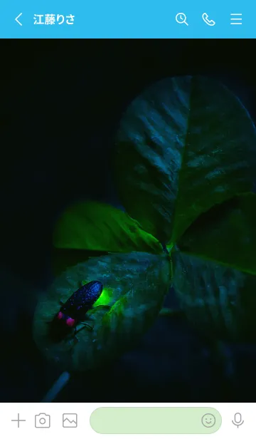 [LINE着せ替え] 蛍と四つ葉のクローバー #1-5の画像2