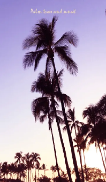 [LINE着せ替え] Palm trees and sunset 80の画像1