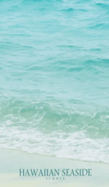 [LINE着せ替え] HAWAIIAN SEASIDE - HAWAII 20の画像1