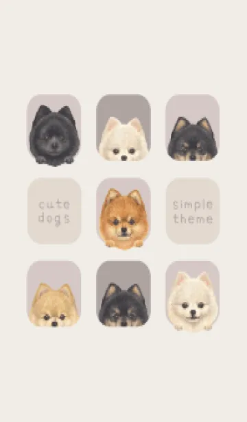 [LINE着せ替え] DOGS - ポメラニアン - ブラウングレーの画像1