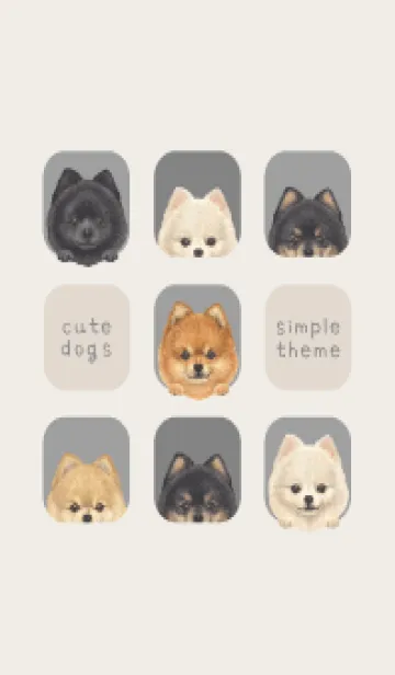 [LINE着せ替え] DOGS - ポメラニアン - アッシュグレーの画像1