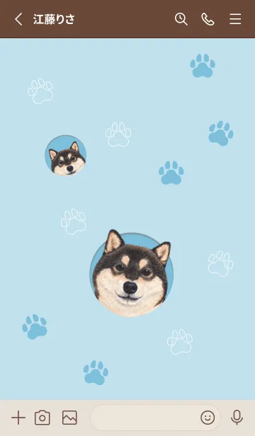 [LINE着せ替え] DOG - 柴犬 02 - LIGHT BLUEの画像2