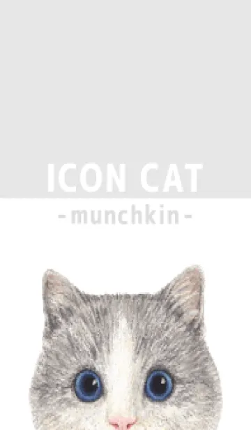 [LINE着せ替え] ICON CAT - マンチカン - GRAY/06の画像1