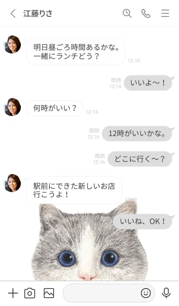 [LINE着せ替え] ICON CAT - マンチカン - GRAY/06の画像3