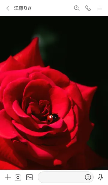 [LINE着せ替え] Ladybird Symbol of good luck #5-5の画像2