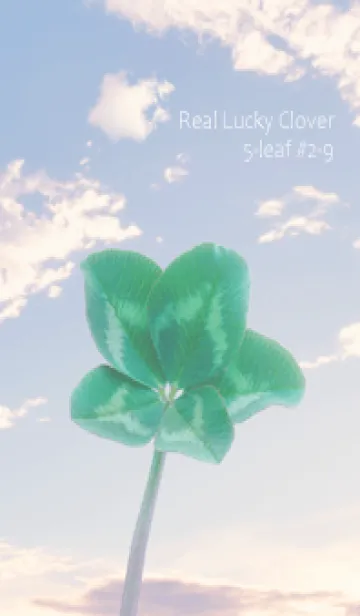 [LINE着せ替え] 本物ラッキークローバー 5-leaf #2-9の画像1