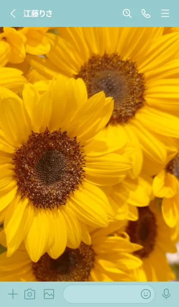 [LINE着せ替え] Sunflower (Himawari) 64の画像2
