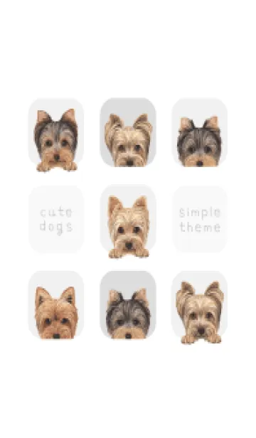 [LINE着せ替え] DOGS - ヨーキー - ホワイト/グレーの画像1
