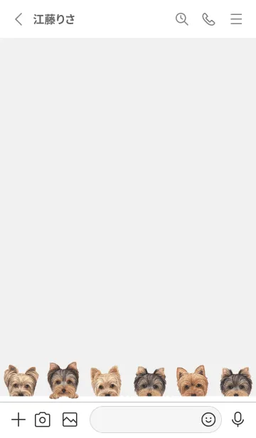 [LINE着せ替え] DOGS - ヨーキー - ホワイト/グレーの画像2