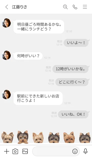 [LINE着せ替え] DOGS - ヨーキー - ホワイト/グレーの画像3