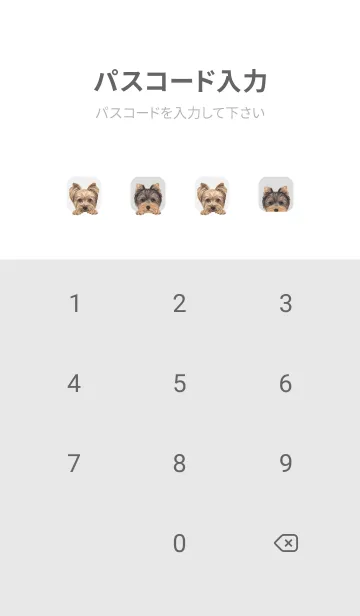 [LINE着せ替え] DOGS - ヨーキー - ホワイト/グレーの画像4