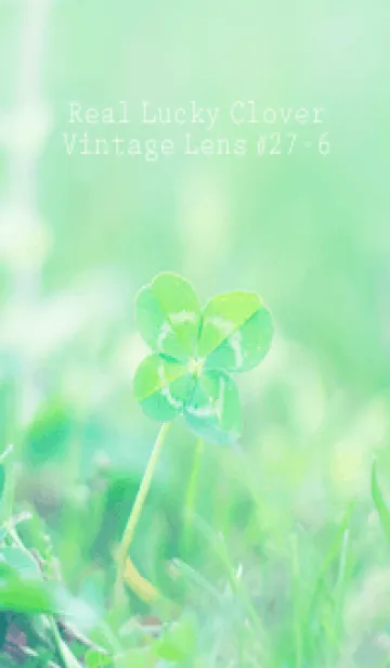 [LINE着せ替え] 四つ葉のクローバー Vintage Lens #27-6の画像1