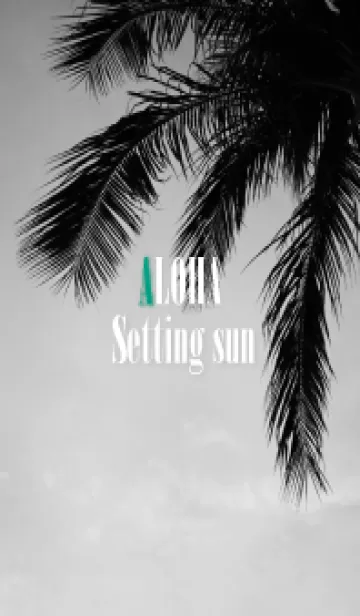 [LINE着せ替え] ALOHA Setting sun palm 9の画像1