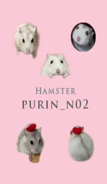 [LINE着せ替え] Hamster purin_n02の画像1