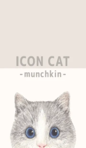 [LINE着せ替え] ICON CAT - マンチカン - BEIGE/06の画像1