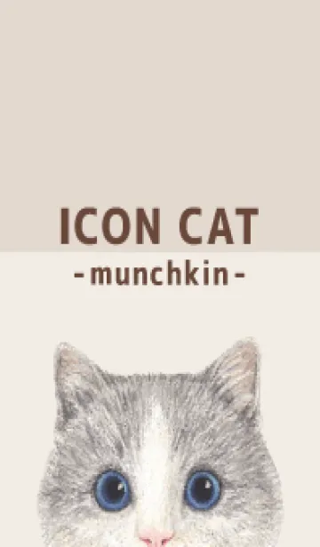 [LINE着せ替え] ICON CAT - マンチカン - BROWN/06の画像1