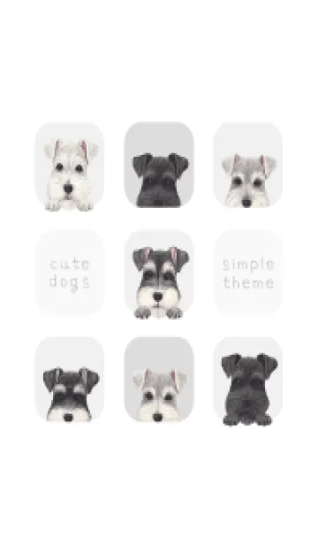 [LINE着せ替え] DOGS - シュナウザー - ホワイト/グレーの画像1