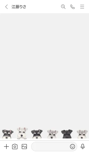 [LINE着せ替え] DOGS - シュナウザー - ホワイト/グレーの画像2