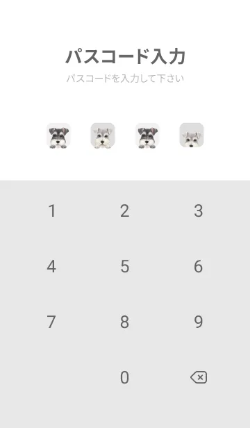 [LINE着せ替え] DOGS - シュナウザー - ホワイト/グレーの画像4