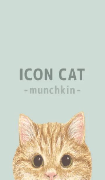 [LINE着せ替え] ICON CAT - マンチカン - PASTEL GR/01の画像1