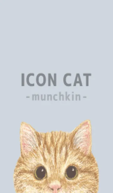 [LINE着せ替え] ICON CAT - マンチカン - PASTEL BL/01の画像1