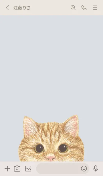 [LINE着せ替え] ICON CAT - マンチカン - PASTEL BL/01の画像2