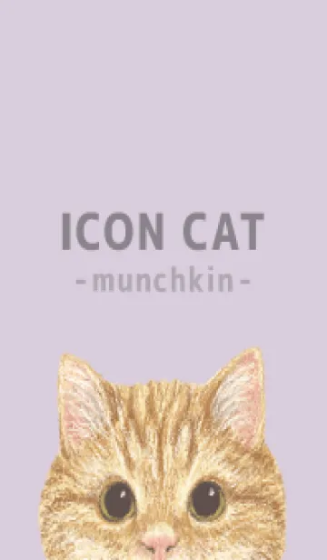 [LINE着せ替え] ICON CAT - マンチカン - PASTEL PL/01の画像1