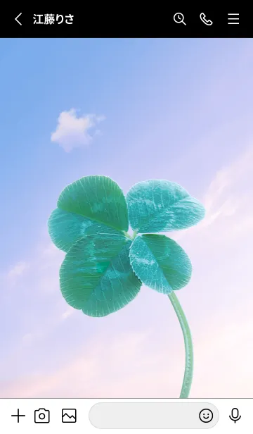 [LINE着せ替え] 本物ラッキークローバー 4-leaf #3-10の画像2