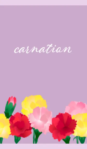 [LINE着せ替え] カラフルなカーネーション 薄い紫の画像1