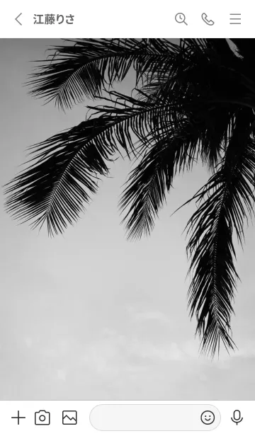 [LINE着せ替え] ALOHA Setting sun palm 12の画像2