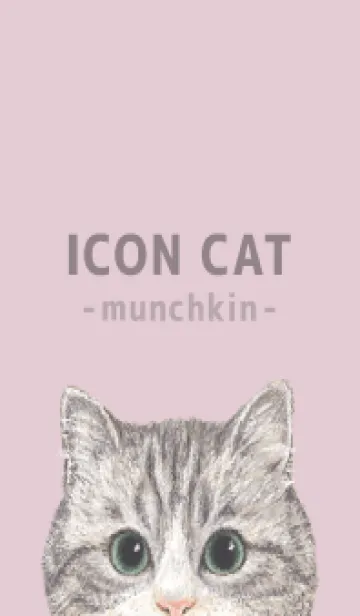 [LINE着せ替え] ICON CAT - マンチカン - PASTEL PK/02の画像1