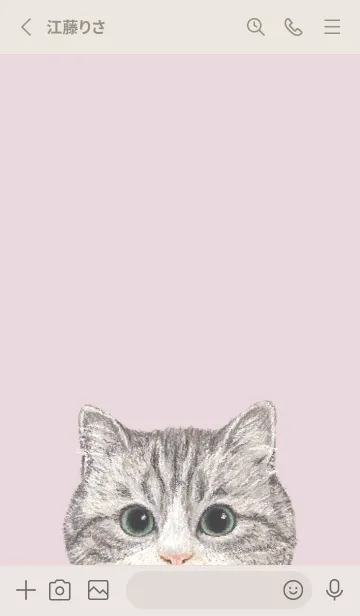 [LINE着せ替え] ICON CAT - マンチカン - PASTEL PK/02の画像2