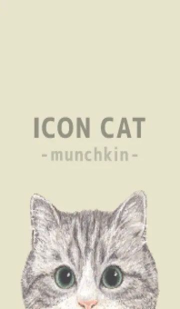 [LINE着せ替え] ICON CAT - マンチカン - PASTEL YE/02の画像1