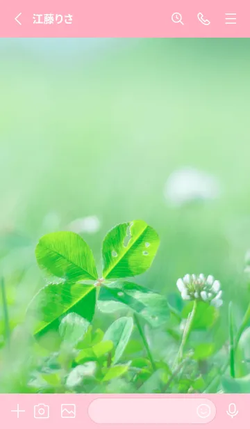 [LINE着せ替え] 四つ葉のクローバー Vintage Lens #30-5の画像2