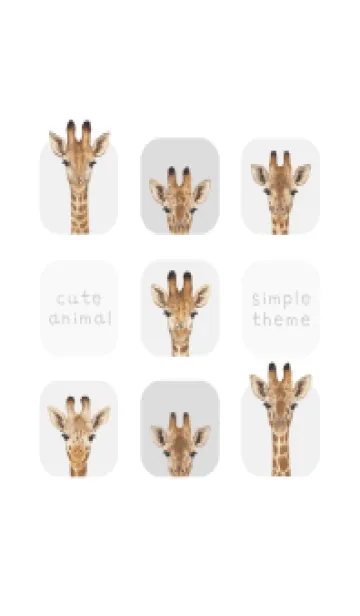 [LINE着せ替え] ANIMALS - キリン - ホワイト/グレーの画像1