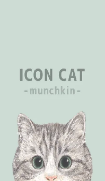 [LINE着せ替え] ICON CAT - マンチカン - PASTEL GR/02の画像1