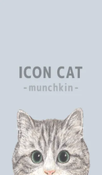 [LINE着せ替え] ICON CAT - マンチカン - PASTEL BL/02の画像1
