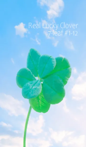 [LINE着せ替え] 本物ラッキークローバー 7-leaf #1-12の画像1