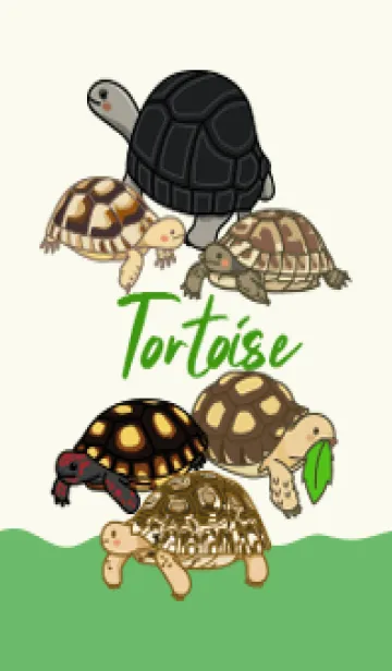 [LINE着せ替え] Tortoise Lifeの画像1