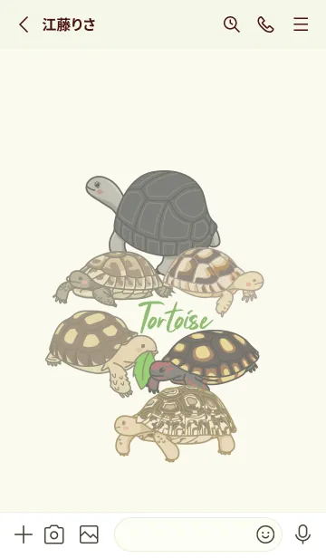 [LINE着せ替え] Tortoise Lifeの画像2